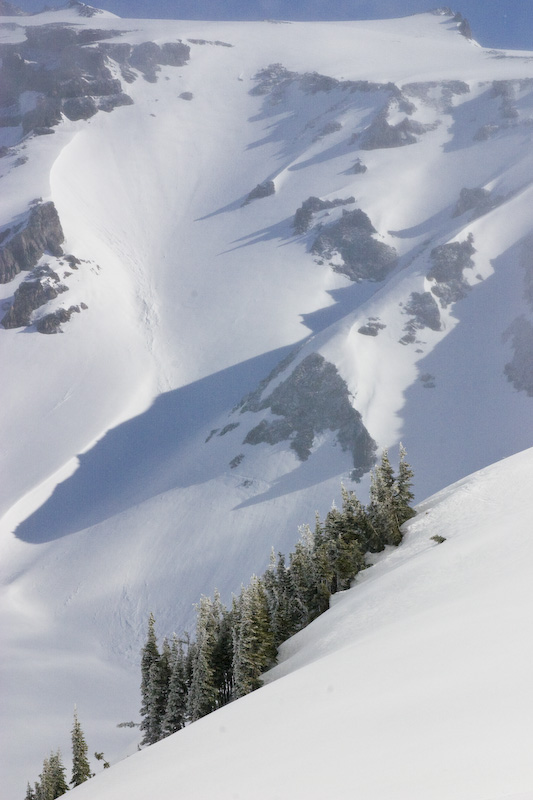 Subalpine Fir Trees And The Nisqually Glacier